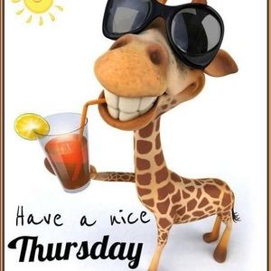 Meet your Posher, Marta